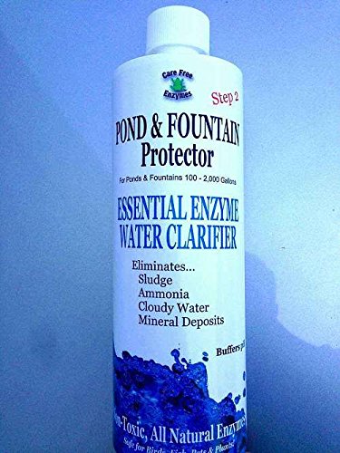 CareFree Enzymes 95562 Pond & Fountain Protector Water Clarity