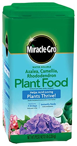 Miracle Gro 1001791 5 Lb Azalea, Camellia, Rhododendron Plant Food 30-10-10