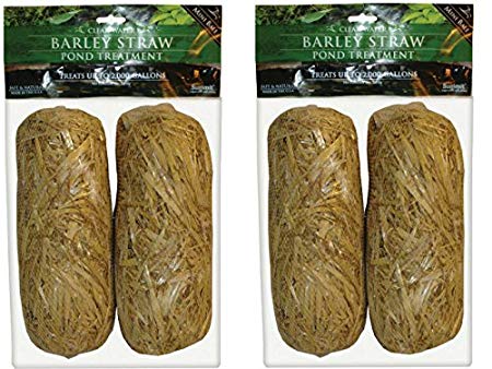 Summit 130 Clear-water Barley Straw Bales, 2 Packs of 2- 4 total