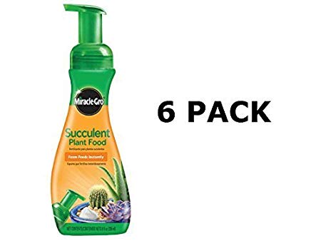 Miracle-Gro Foaming Succulent Plant Food, 8 oz (6 Pack)